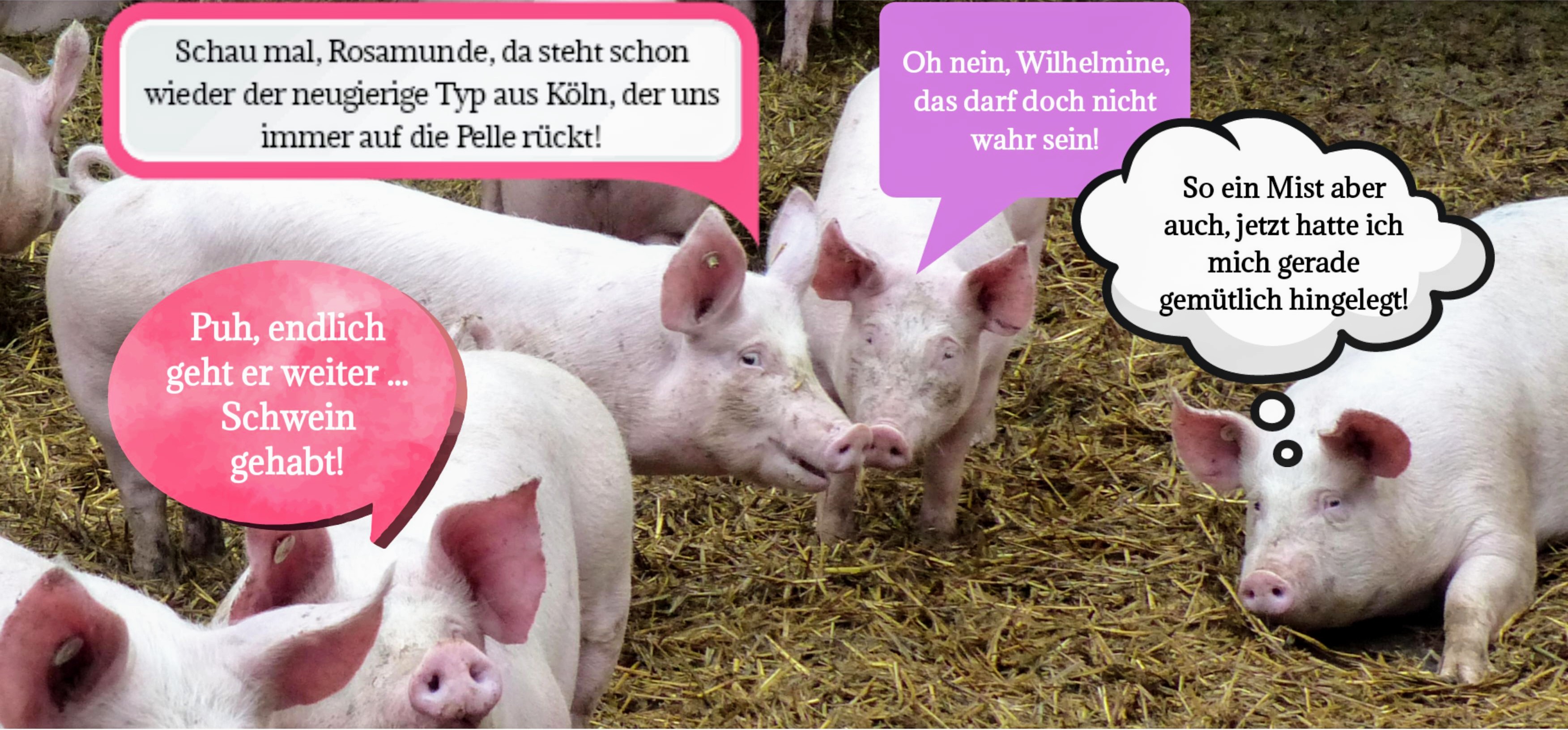 Tierwohl Landwirtschaft